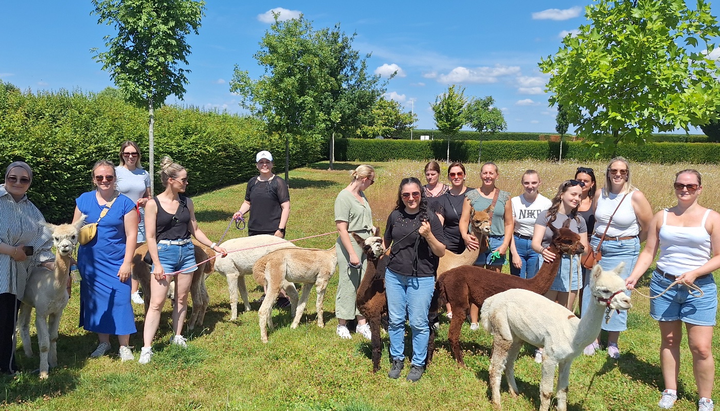 Samen op pad, team in balans